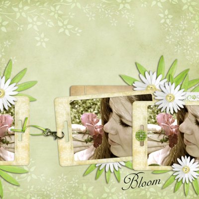 Bloom