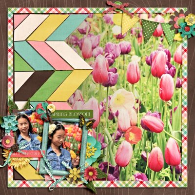 may flowers