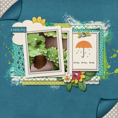 after the rain