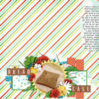 The Bread Case