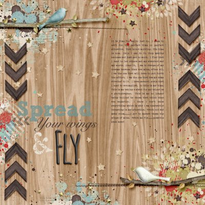 Fly