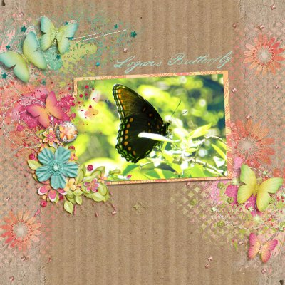 Logan's Buterfly