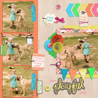 One Playful Pup
