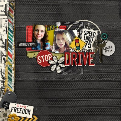 License to Drive
