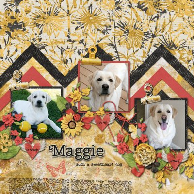 Maggie Sweetheart Dog
