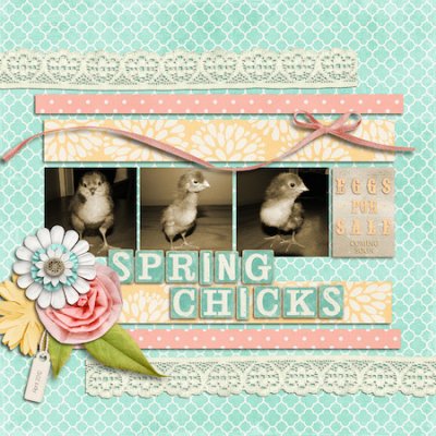 Spring Chicks