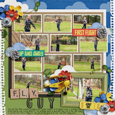 fly-guy