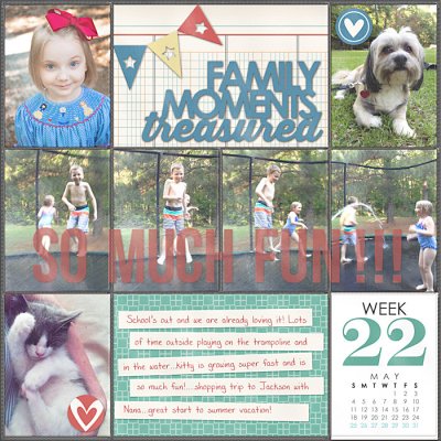 Project Life 2014 Week 22 Left