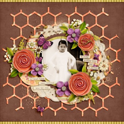 Nur Aniqah Rushda