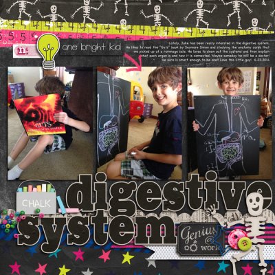 Digestive System