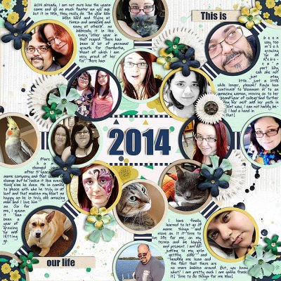 2014 PL Book cover