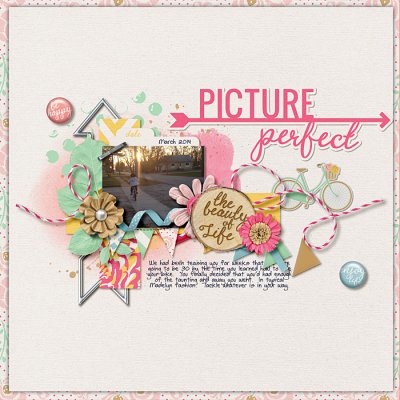 picture perfect