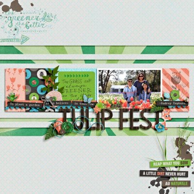 tulip fest