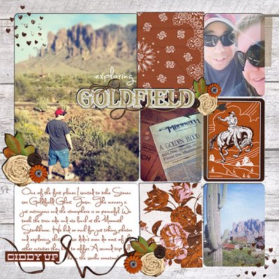 Exploring Goldfield