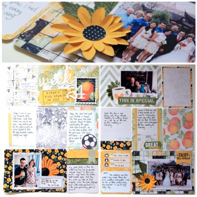 Project Life 2014 - Week 24