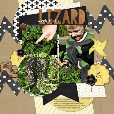 Look Ma! a Lizard