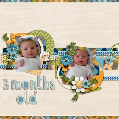 3 Months Old