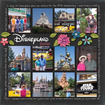 Disneyland Vacation