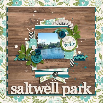 Saltwell Park