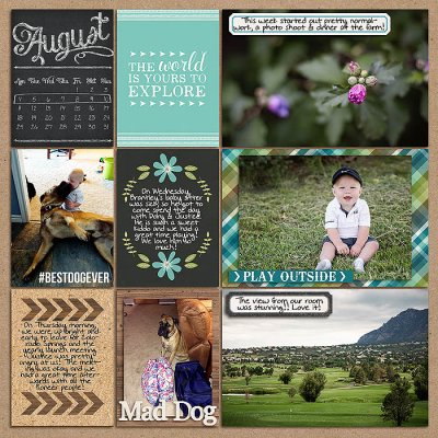 Project 2014: Week 32