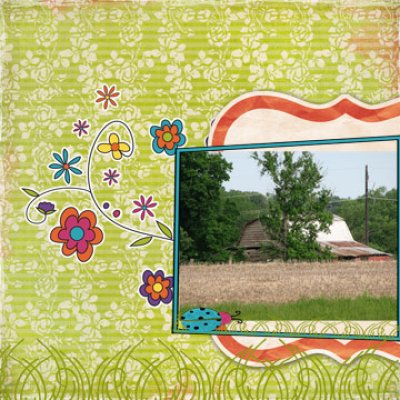 shutterbug shakedown #11 layout