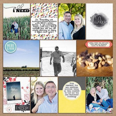 Project 2014: Week 40 (right)