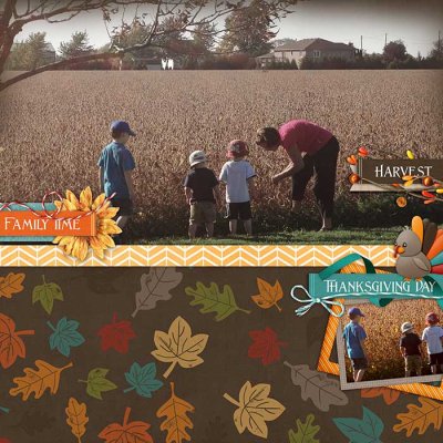 triscuit_harvest
