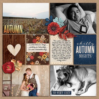 Project 2014- Week 41 (right)