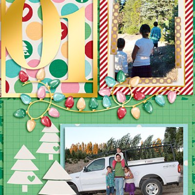December Daily 2013
