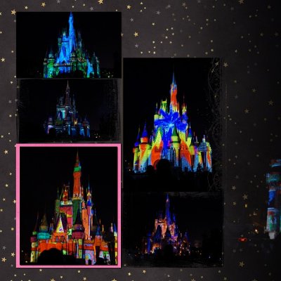 Celebrate the Magic