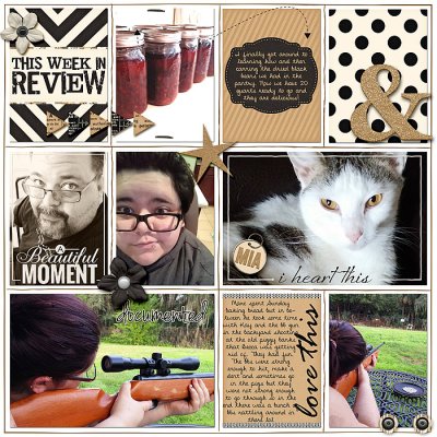 2015 Project Life: Week 1 a