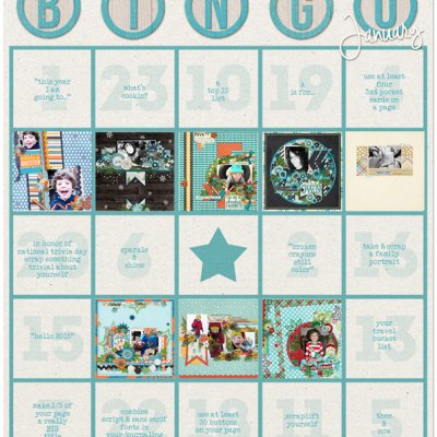 january bingo card