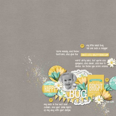 Heidi Bug