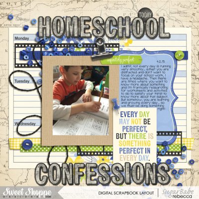 homeschool confessions