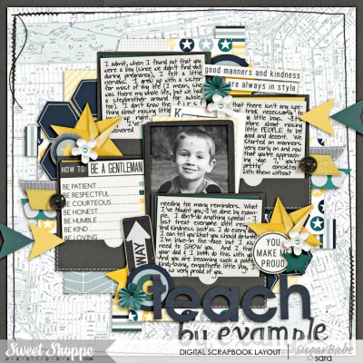 teach-by-examplewm