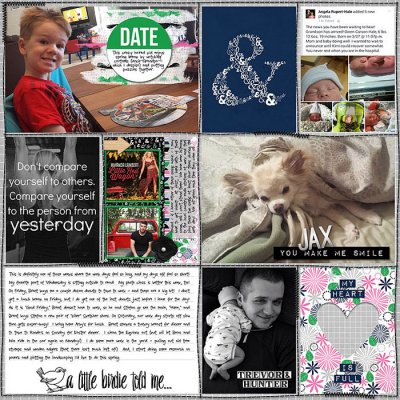 Project Life 2015 - Week 14B
