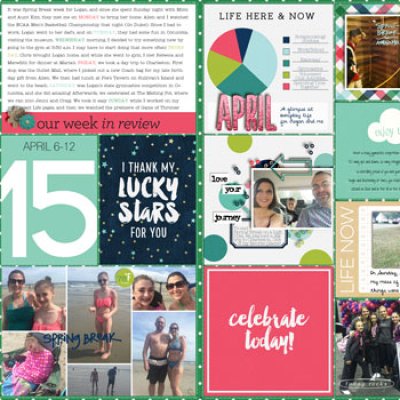 Project Life Week 15