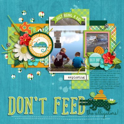 Don't Feed the Alligators