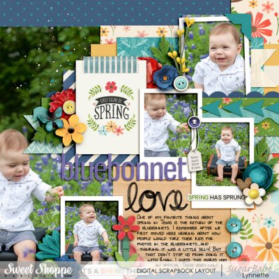 Bluebonnet Love