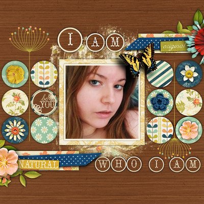 INSD 2015 FB Challenge_6
