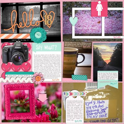 2014 Week 18 (p1)