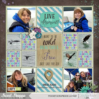 Whale Watching - Juneau