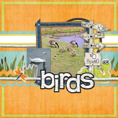 Birds