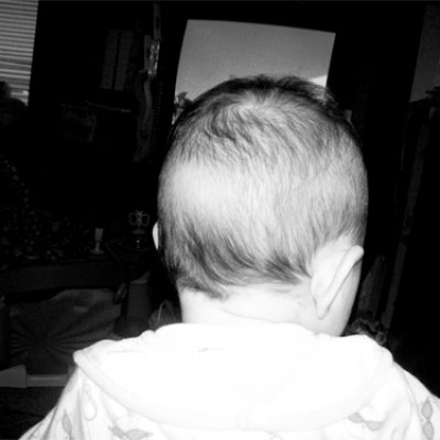 Shutterbug Shakedown #14 Photo