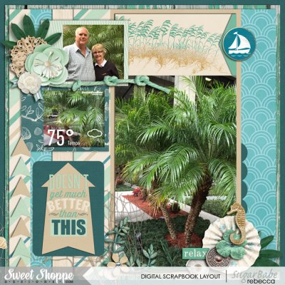 12_Florida_palm-trees