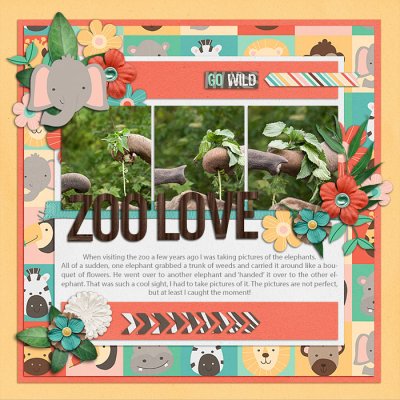 Zoo Love