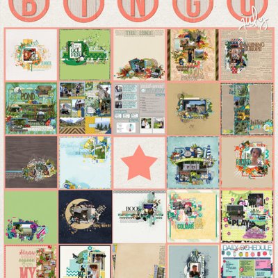 Bingo Tracker July 2015