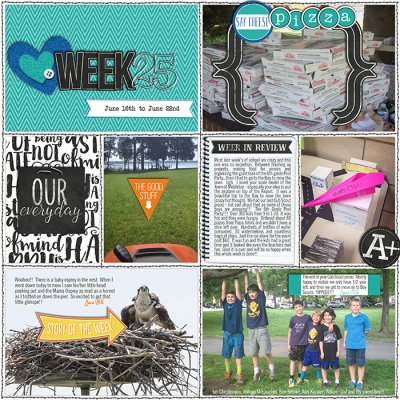 2014 Week 25 (p1)