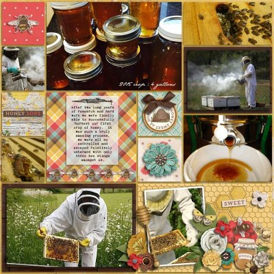 bee keeping