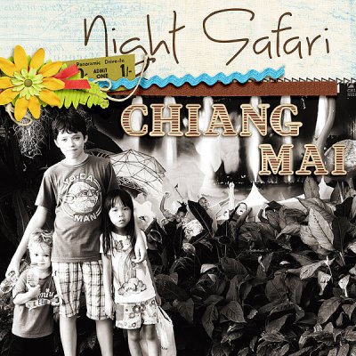 Night Safari (left)